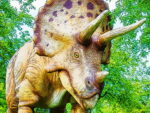 Dev Triceratops Yapboz