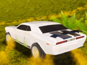 Süper hızlı sürücü